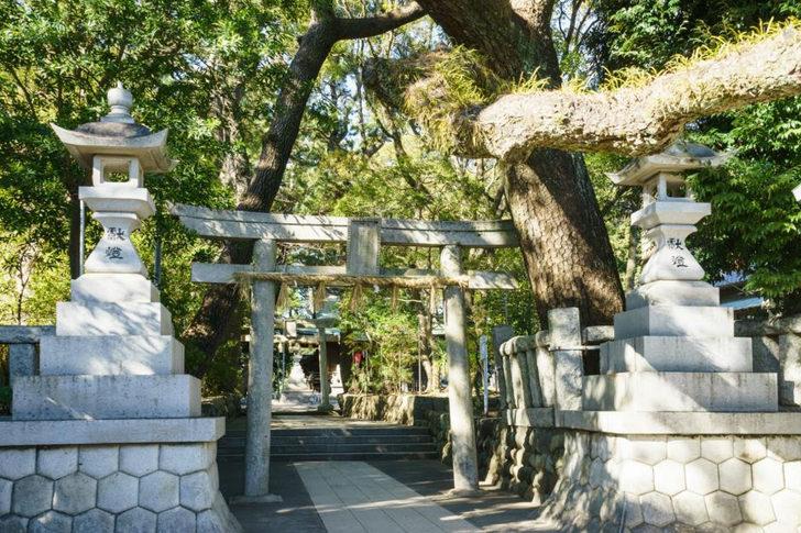 Dünya'nın en sıra dışı adası  G1