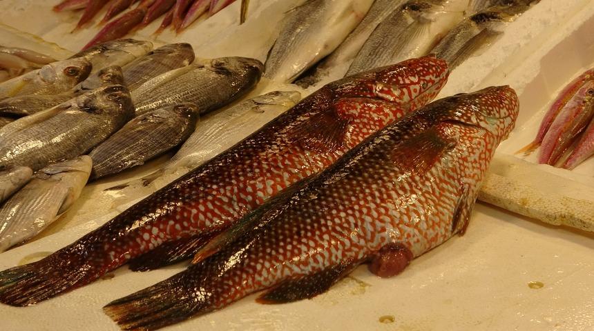 Hint Okyanusu'na &ouml;zg&uuml; &lsquo;portakal benekli lagos' Mersin'de tezgaha &ccedil;ıktı