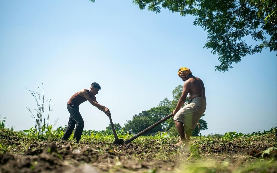 Tarımda asgari &uuml;cret kullanılmıyor: İş&ccedil;i maaşı 37 bin TL&rsquo;yi ge&ccedil;ti 2