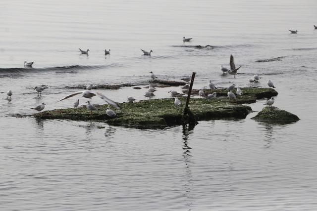 Tekirdağ da deniz suyu &ccedil;ekildi 3