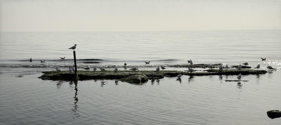 Yer: Tekirdağ! Deniz metrelerce &ccedil;ekildi, gizli kalmış ortaya &ccedil;ıktı 3