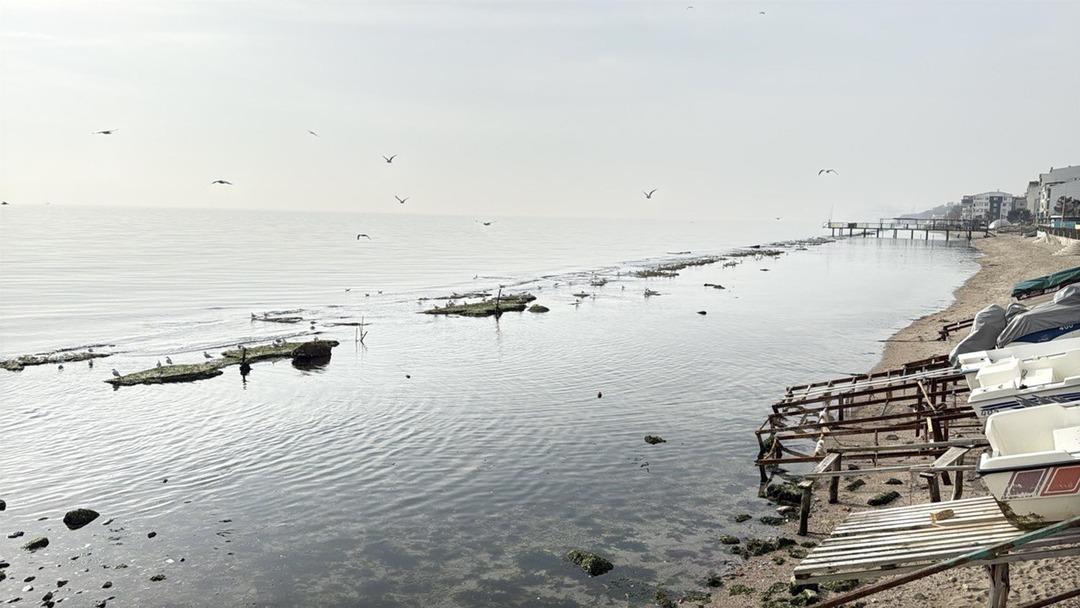 Yer: Tekirdağ! Deniz metrelerce &ccedil;ekildi, gizli kalmış ortaya &ccedil;ıktı 2
