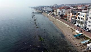 Deniz metrelerce &ccedil;ekildi, gizli kalmış ortaya &ccedil;ıktı