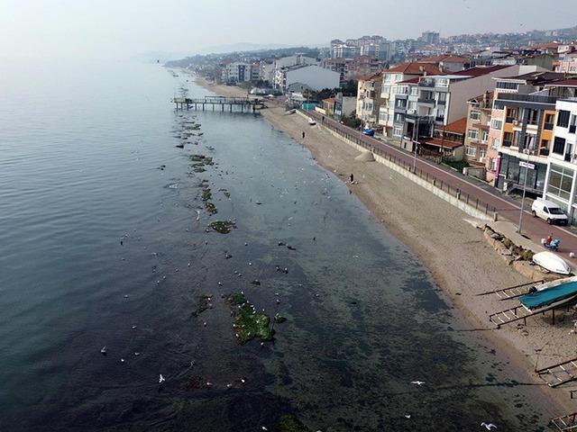 Deniz metrelerce &ccedil;ekildi, gizli kalmış ortaya &ccedil;ıktı