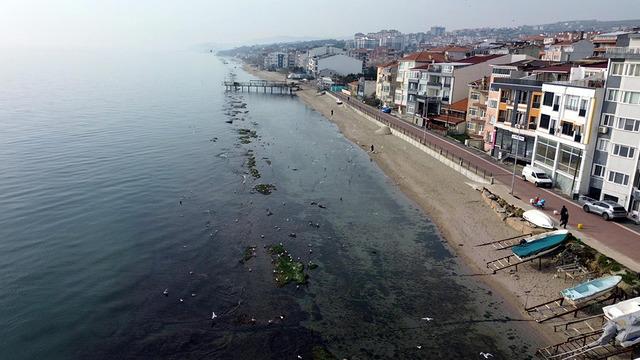 Yer: Tekirdağ! Deniz metrelerce çekildi, gizli kalmış ortaya çıktı