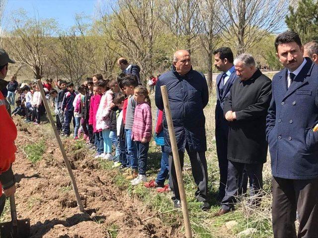 Kaymakam Duru, fidan dikimi etkinliğine katıldı