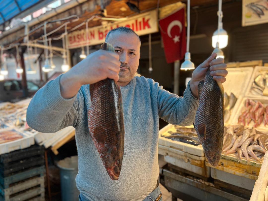 Hint Okyanusu&rsquo;ndan geldi, Mersin&rsquo;de tezgaha girdi! Portakal benekliye yoğun ilgi 2