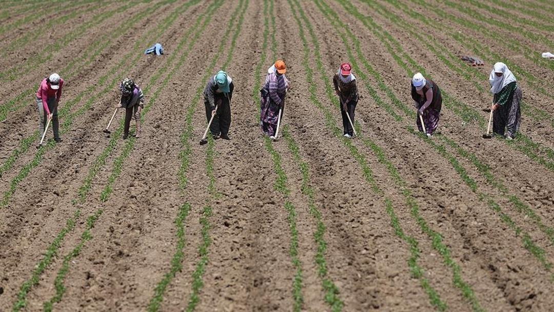 En y&uuml;ksek &ouml;deme o ilde: Aylık &uuml;cret 53 bin TL yi ge&ccedil;ti 1