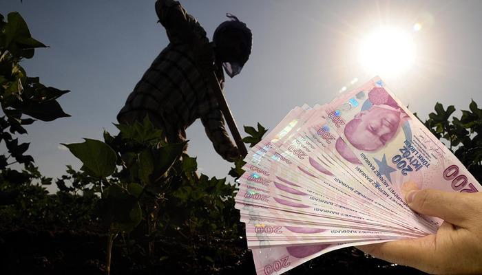 En y&uuml;ksek &ouml;deme o ilde: Aylık &uuml;cret 53 bin TL'yi ge&ccedil;ti