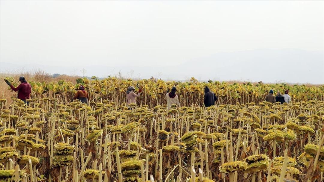 En y&uuml;ksek &ouml;deme o ilde: Aylık &uuml;cret 53 bin TL yi ge&ccedil;ti 2