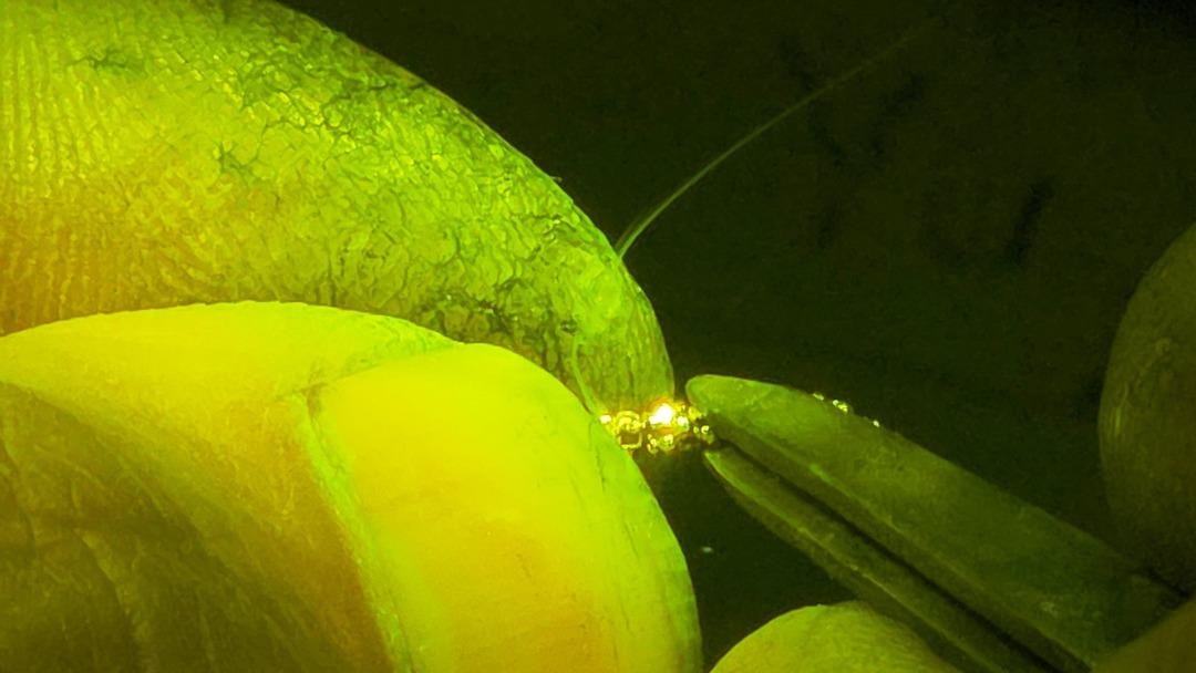 Altın, pırlanta, elmas her g&uuml;n ellerine geliyor: Fiyatını d&uuml;ş&uuml;nm&uuml;yorlar 3