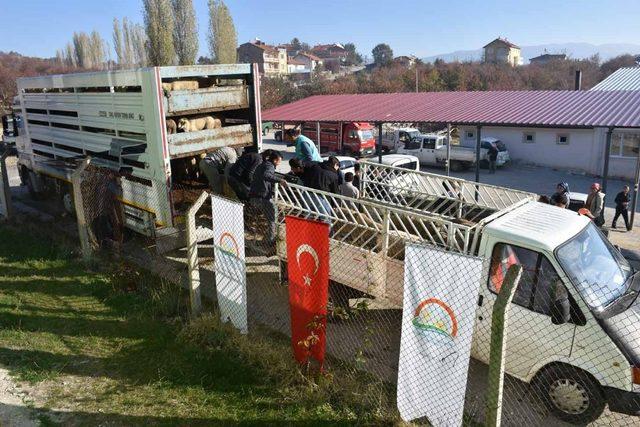 Pazarlar’da Genç Çiftçi projesi başvuruları başladı