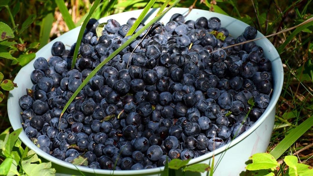 Sabahları  uzak durun  uyarısı: Bu 9 besini sakın a&ccedil; karnına yemeyin!  11