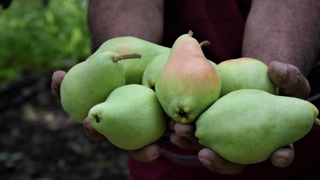 Sabahları  uzak durun  uyarısı: Bu 9 besini sakın a&ccedil; karnına yemeyin!  4