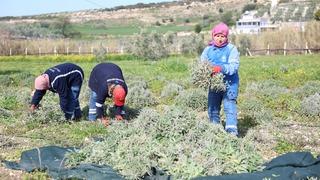 Okul servisine çarpmamak için motosikletten düşüp metrelerce savruldular: O anlar kamerada