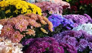 Buket fiyatları bin 500'den başlıyor! 'Kadınların kadınlara en &ccedil;ok &ccedil;i&ccedil;ek aldığı &ouml;zel g&uuml;n'