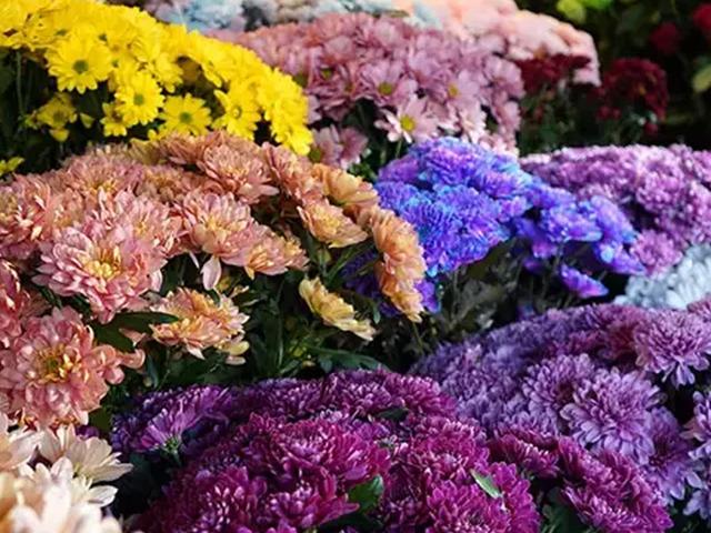 Buket fiyatları bin 500'den başlıyor! 'Kadınların kadınlara en &ccedil;ok &ccedil;i&ccedil;ek aldığı &ouml;zel g&uuml;n'