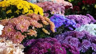 Buket fiyatları bin 500'den başlıyor! 'Kadınların kadınlara en çok çiçek aldığı özel gün'