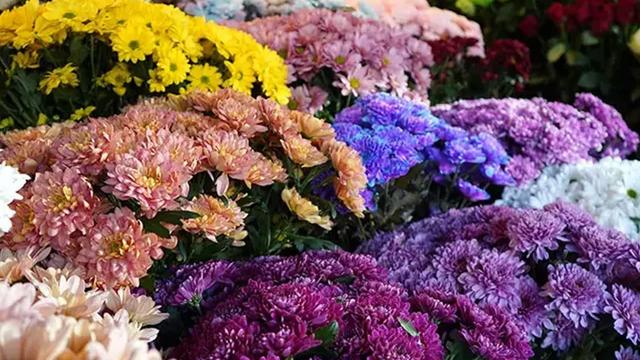Buket fiyatları bin 500'den başlıyor! 'Kadınların kadınlara en çok çiçek aldığı özel gün'