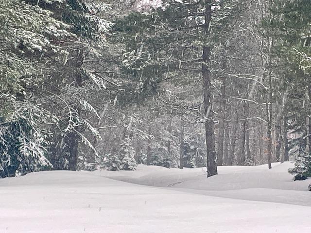 Bolu da kış ve ilkbahar bir arada yaşanıyor 6