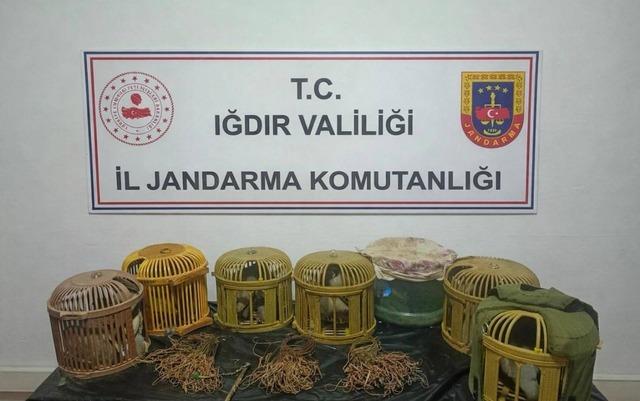 Iğdır’da kaçak keklik avcılarına 175 bin TL ceza