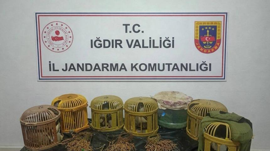 Iğdır&rsquo;da ka&ccedil;ak keklik avcılarına 175 bin TL ceza