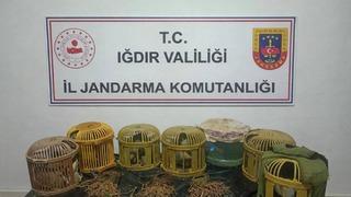 Iğdır’da kaçak keklik avcılarına 175 bin TL ceza
