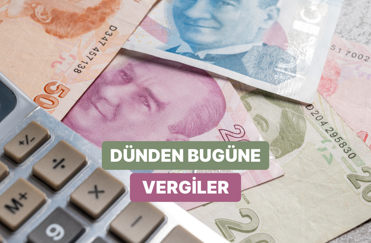 G&uuml;neş Işığından Bekarlığa: İnsan Davranışını K&ouml;kten Değiştiren En Tuhaf Tarihi Vergiler 