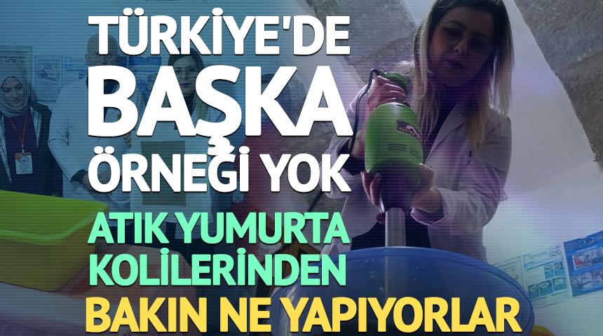 T&uuml;rkiye'de başka &ouml;rneği yok: Yumurta kolisinden &uuml;retiyorlar