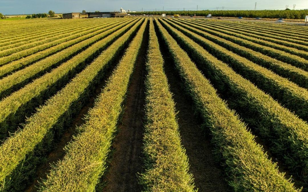 Tarım arazisi olanlara devlet hibe verecek! Destekleme kararı resmen duyuruldu 3