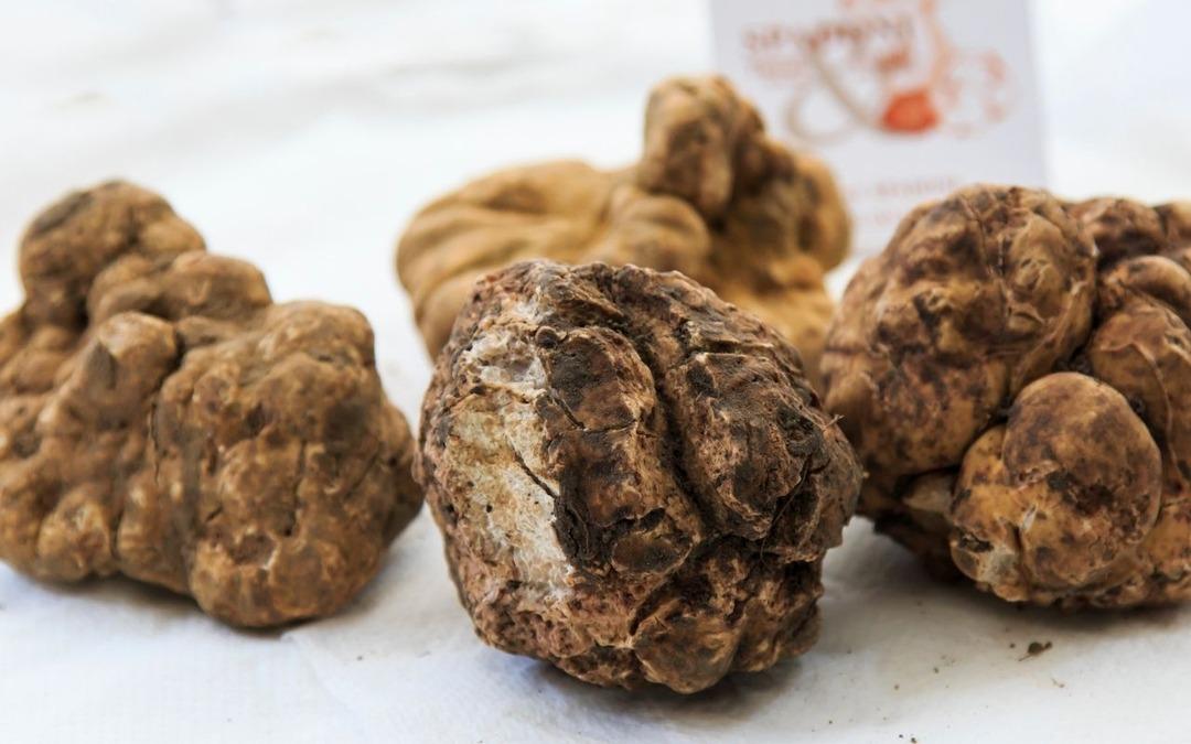 Altın bile yanında ucuz kalıyor: Gramı binlerce liraya &ccedil;ıkıyor! Fiyatlar dudak u&ccedil;uklatıyor  2