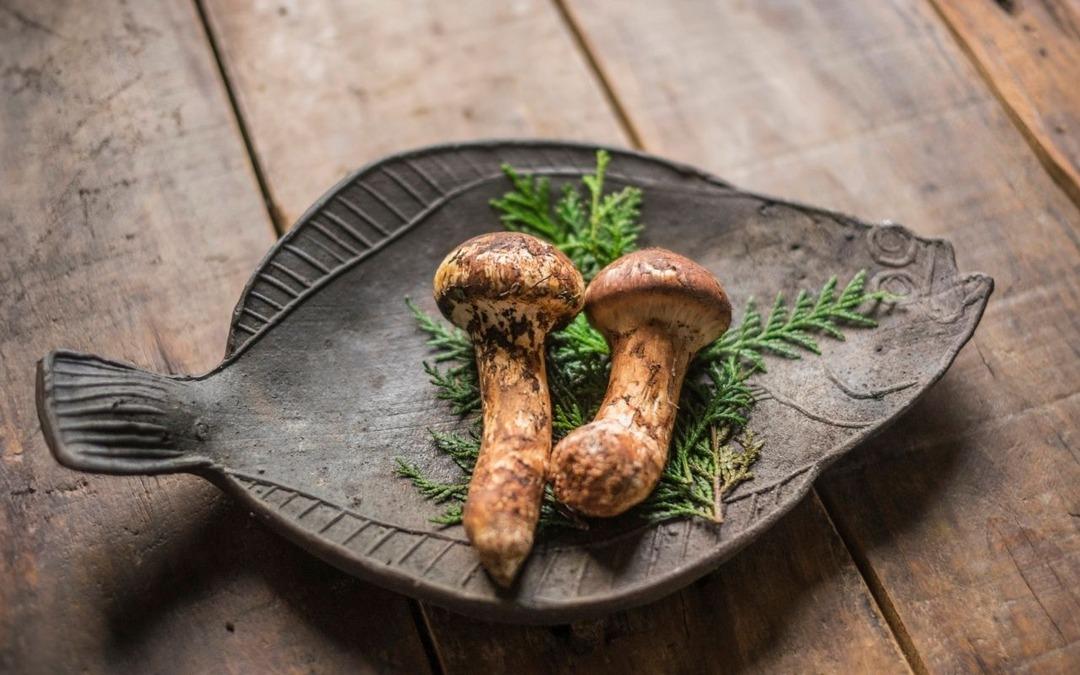 Altın bile yanında ucuz kalıyor: Gramı binlerce liraya &ccedil;ıkıyor! Fiyatlar dudak u&ccedil;uklatıyor  3