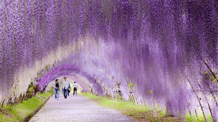 Ger&ccedil;ek olamayacak kadar g&uuml;zel 20 yer