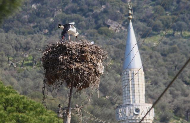 Leyleği ilk g&ouml;rene 1 &ccedil;uval un kampanyası tamamlandı 2