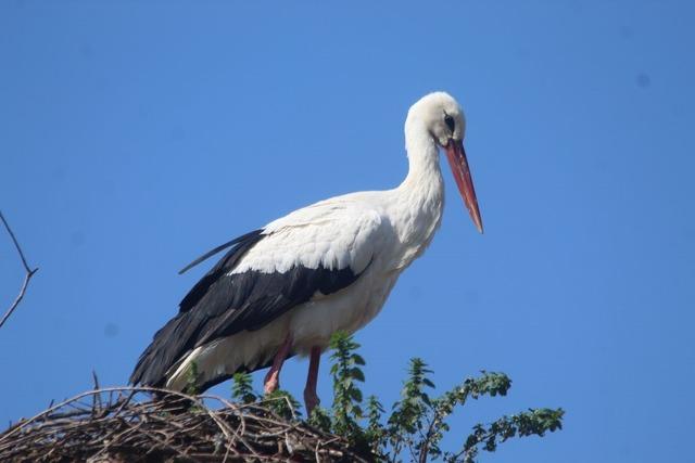 Leyleği ilk g&ouml;rene 1 &ccedil;uval un kampanyası tamamlandı 3