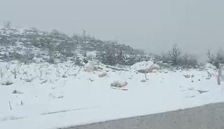 Diyarbakır&rsquo;ın iki il&ccedil;esinde kar yağışı