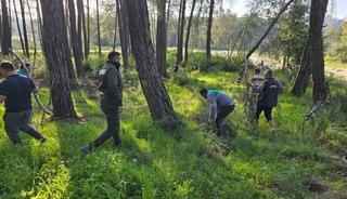 Kesilen basralı dallar arıcılar i&ccedil;in ormana bırakıldı
