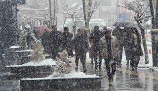 Van&rsquo;da kar yağışı ve sis etkili oluyor