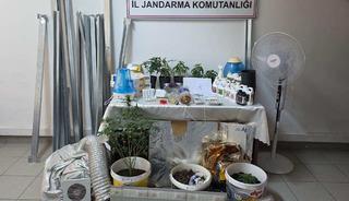 Evdeki 'kenevir serası'na jandarma baskını; 2 g&ouml;zaltı