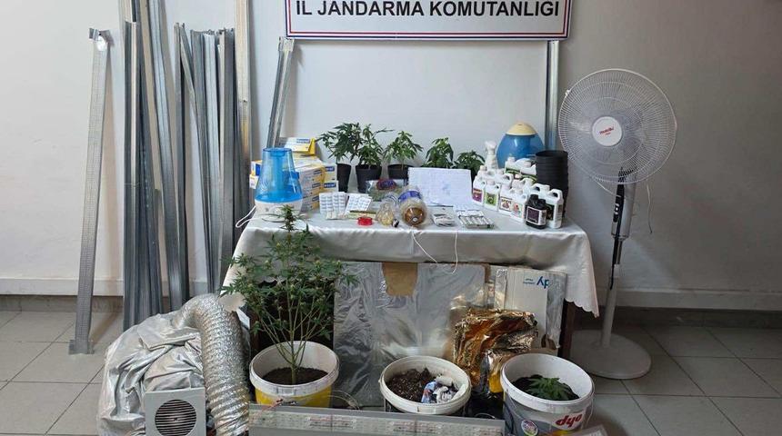 Evdeki 'kenevir serası'na jandarma baskını; 2 g&ouml;zaltı