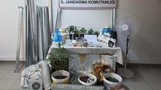 Evdeki 'kenevir serası'na jandarma baskını; 2 gözaltı