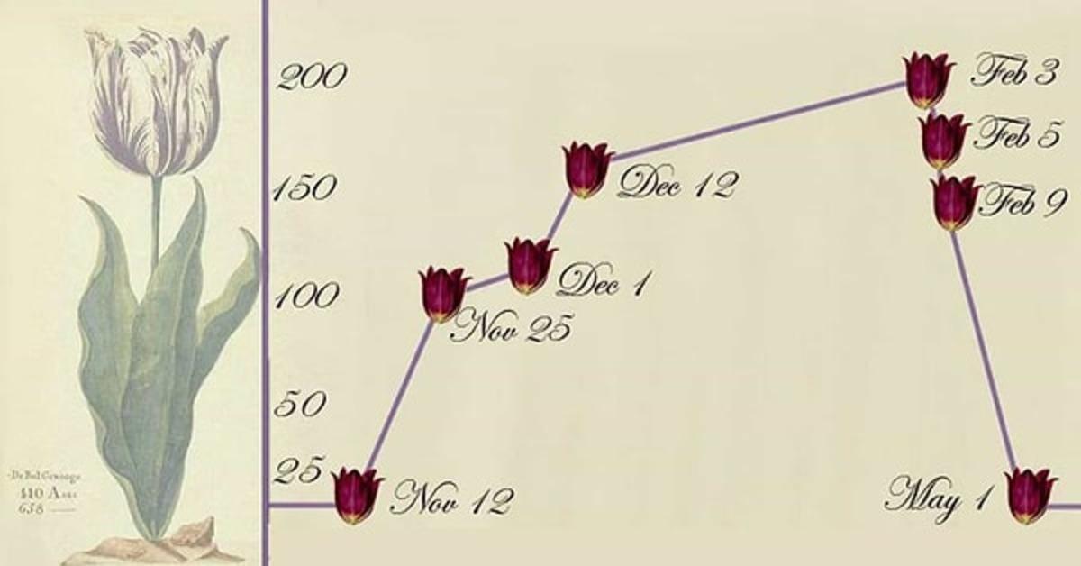 Lale &Ccedil;ılgınlığı: Tarihin İlk İrrasyonel Finansal Balonu Bize Ne &Ouml;ğretiyor? 2