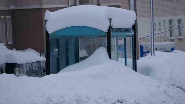 Bitlis mart ayında kara g&ouml;m&uuml;ld&uuml; 14