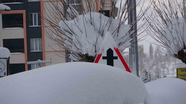 Bitlis mart ayında kara g&ouml;m&uuml;ld&uuml; 1