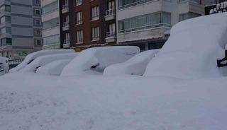 Bitlis mart ayında kara g&ouml;m&uuml;ld&uuml;