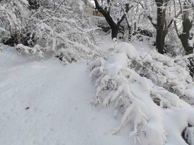 Batman’da mart ayında kar yağışı etkili oldu 5