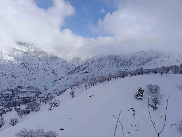 Batman’da mart ayında kar yağışı etkili oldu 4