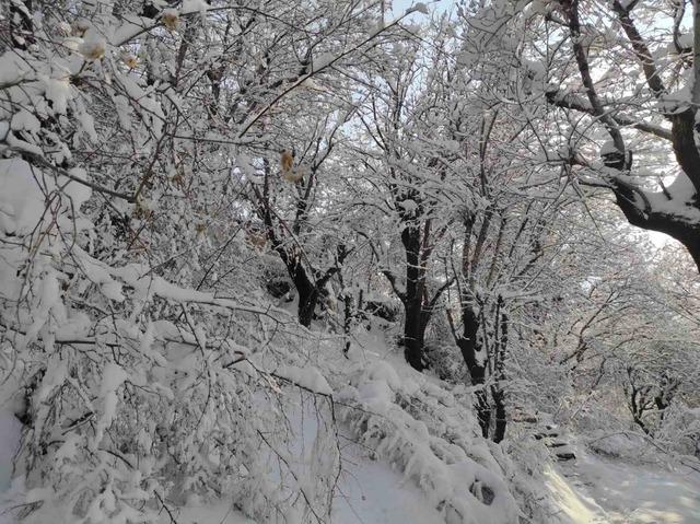 Batman’da mart ayında kar yağışı etkili oldu 2