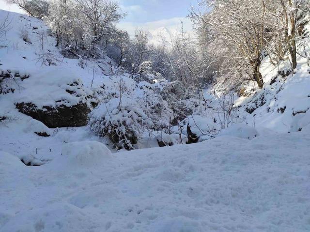 Batman’da mart ayında kar yağışı etkili oldu 1