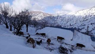 Batman&rsquo;da mart ayında kar yağışı etkili oldu